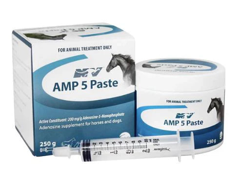 NV AMP-5 PASTE 250GM