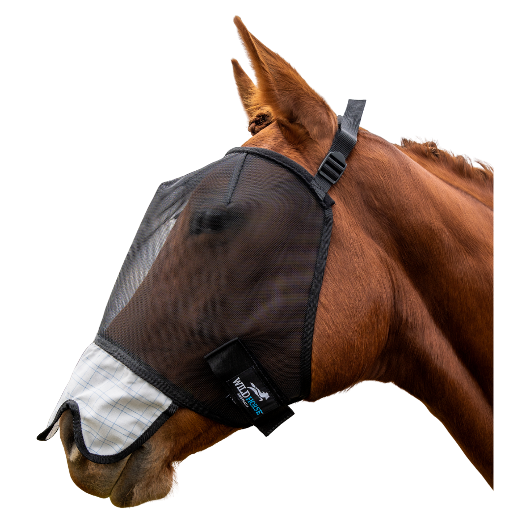 Wild Horse - Flyveil with Ripstop Nose.