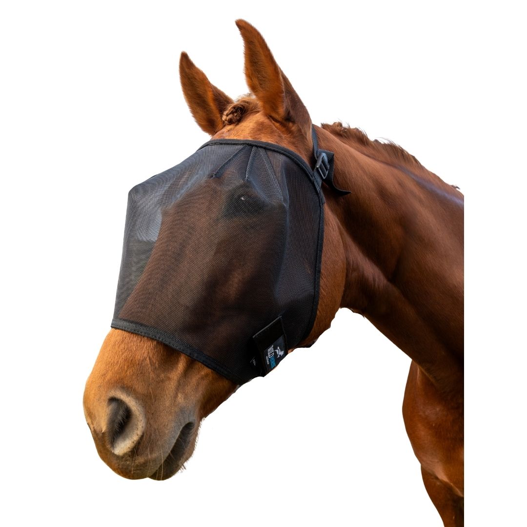 Wild Horse - 3 Dart Flyveil.