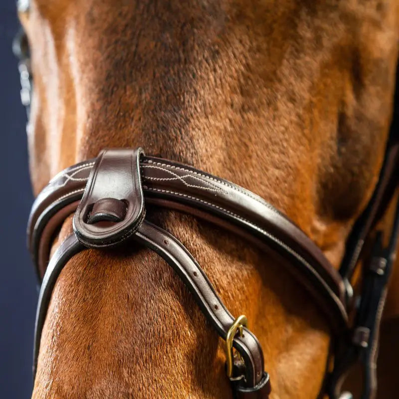 Dyon DY Flash Nose Strap 2 Rem Attach