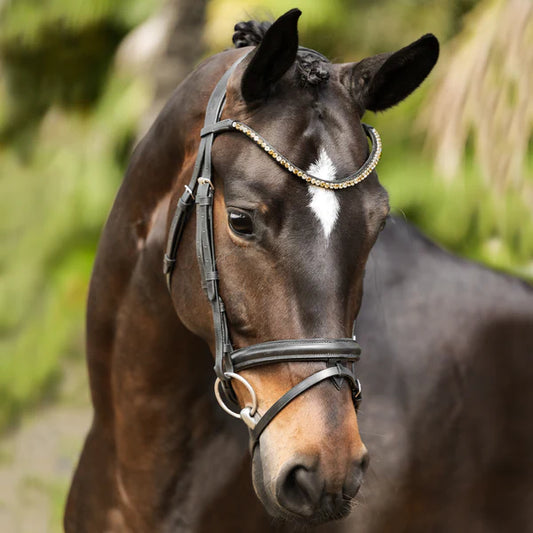 LUMIERE MEGAN CONVERTIBLE BRIDLE