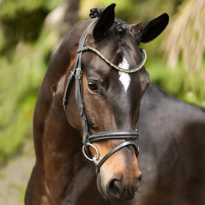 Lumiere Megan Convertible Bridle