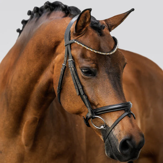 Lumiere Megan Convertible Bridle