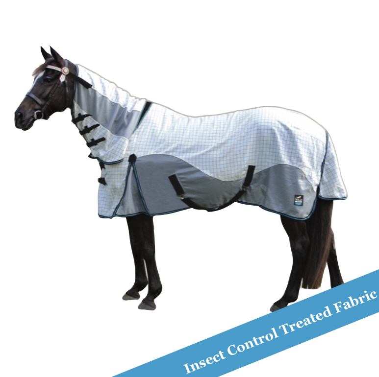 Wild Horse - Duo Combo.