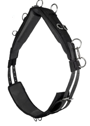 Deluxe Lunging Roller.