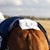 Earlwood Dual Season Wool Lined Rug