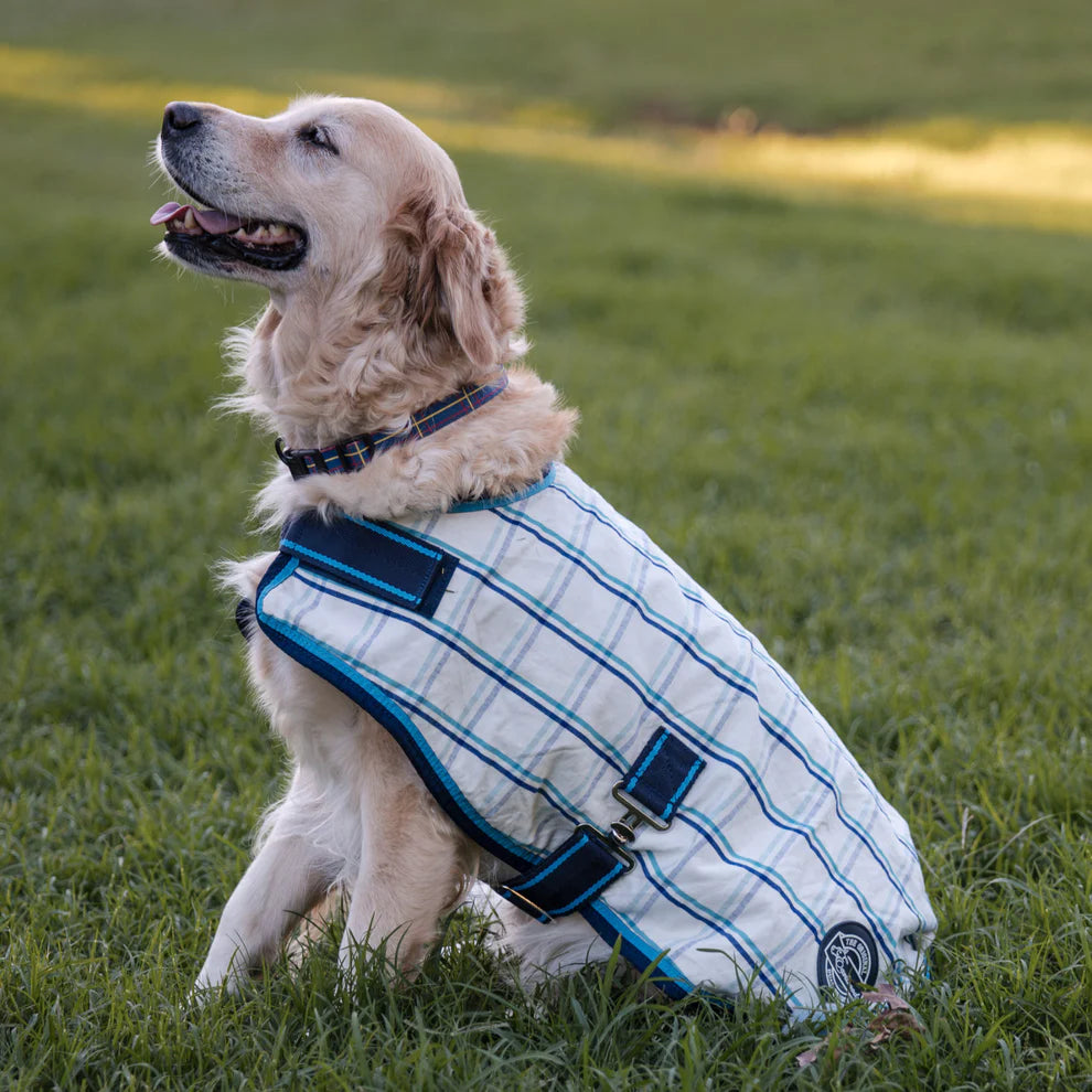 Earlwood Equine Dual Season WOOL Lined DOG Rug