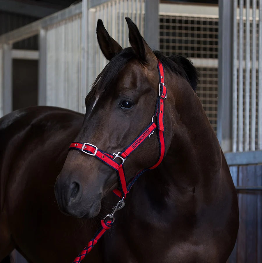 Eurohunter Emblem Comfort Halter and Lead Set.