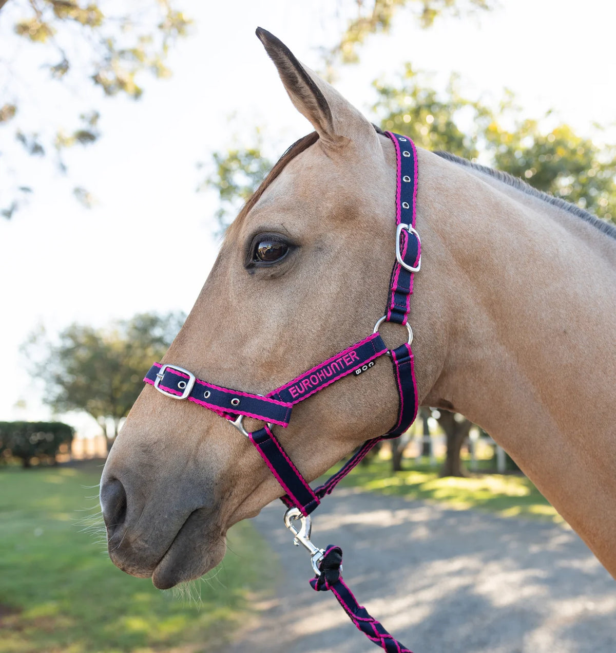 Eurohunter Emblem Comfort Halter and Lead Set.