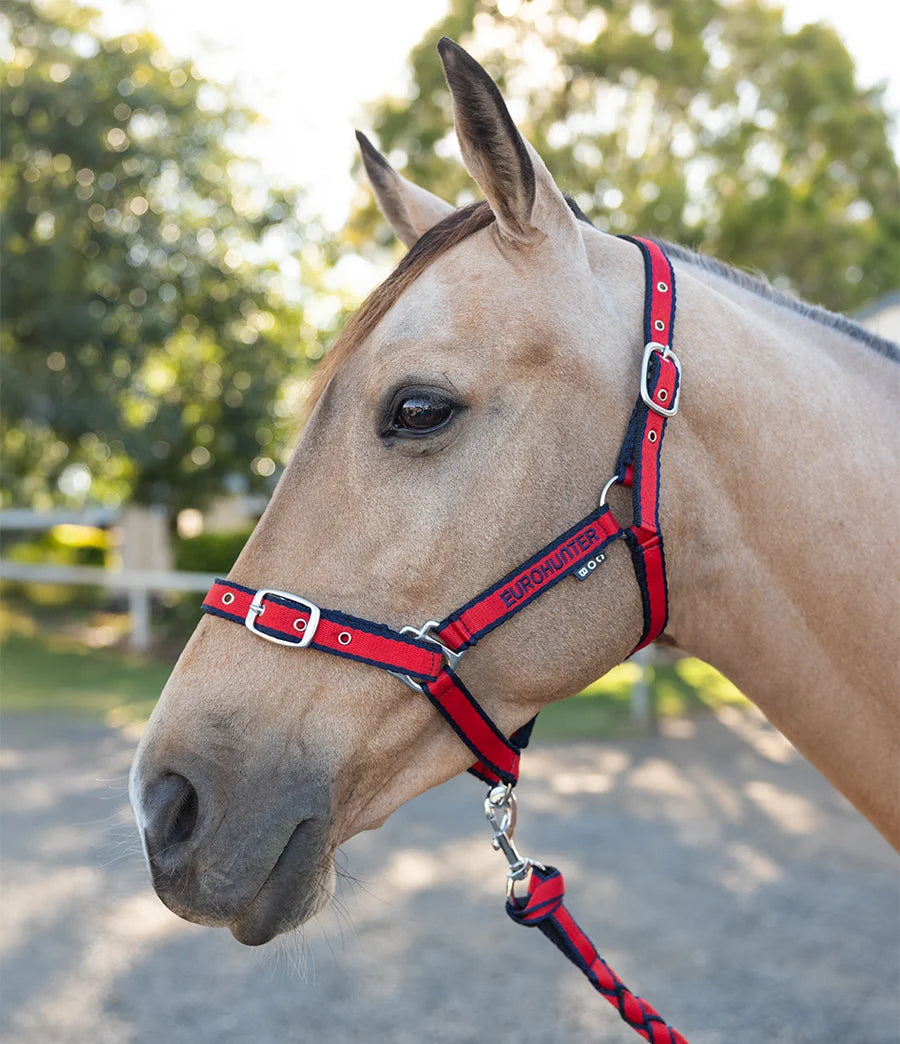Eurohunter Emblem Comfort Halter and Lead Set.