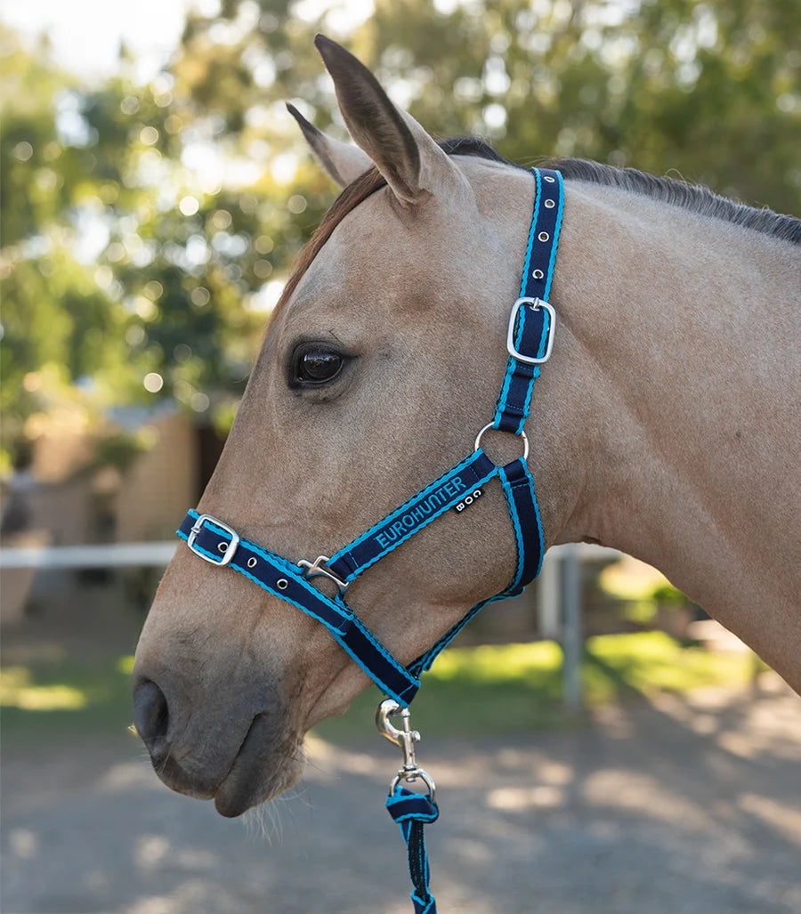 Eurohunter Emblem Comfort Halter and Lead Set.