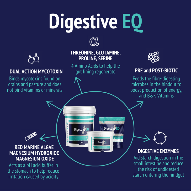 Digestive EQ