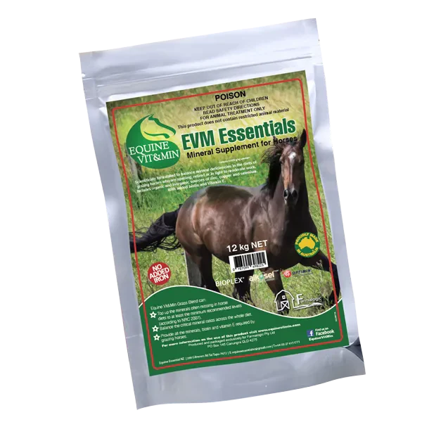 EVM ESSENTIALS