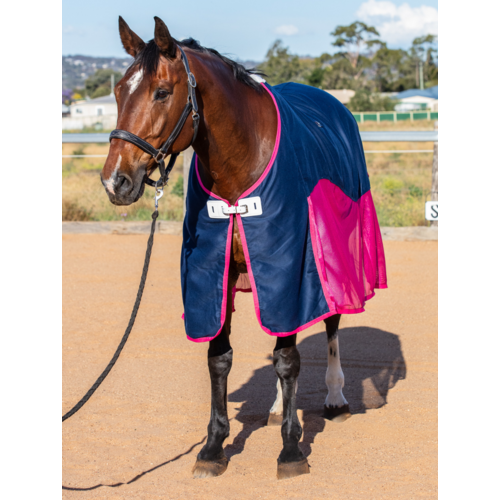 Earlwood Mesh Show Rug