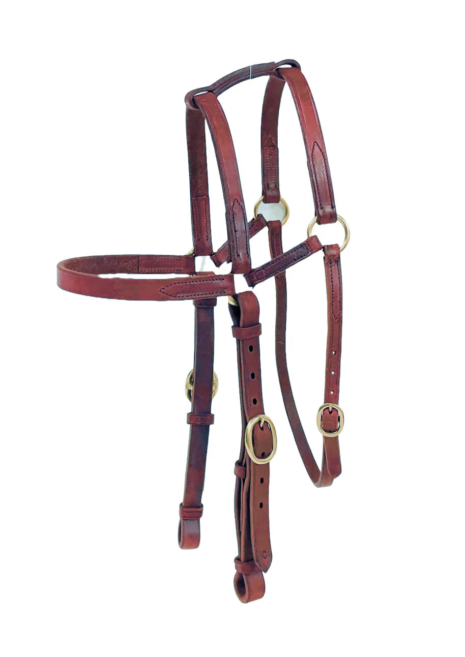 "WINDORAH" Extended Barcoo 3/4" Bridle