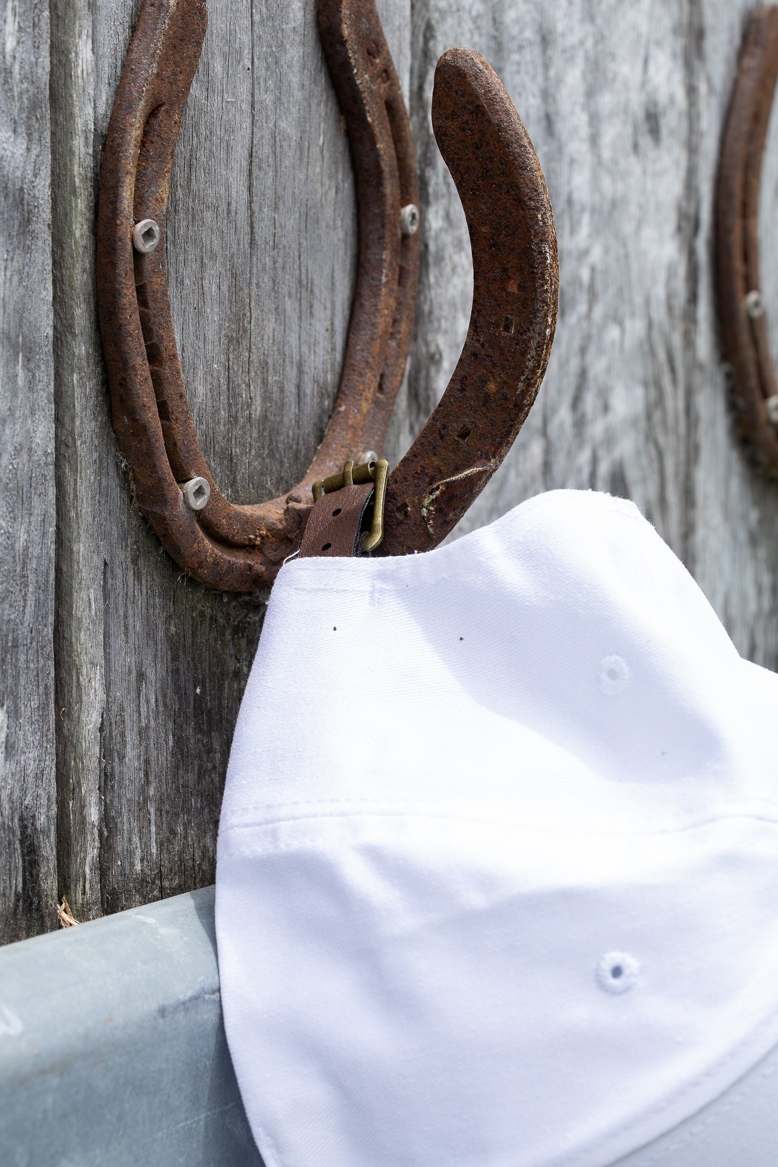 Eminent Equestrian - Signature Cap