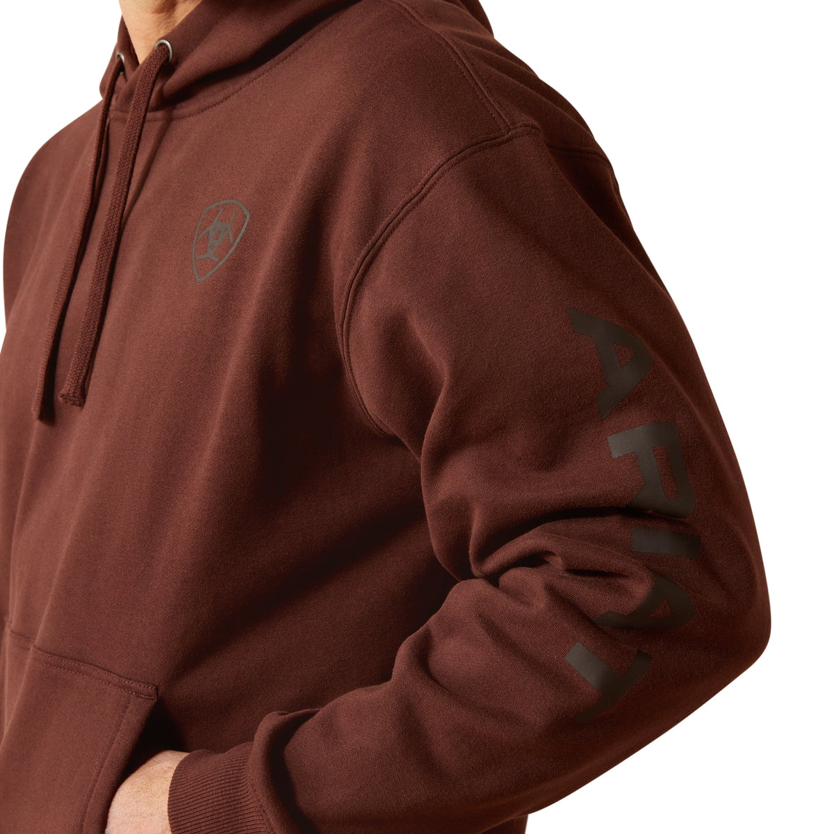 ARIAT MNS LOGO HOODIE