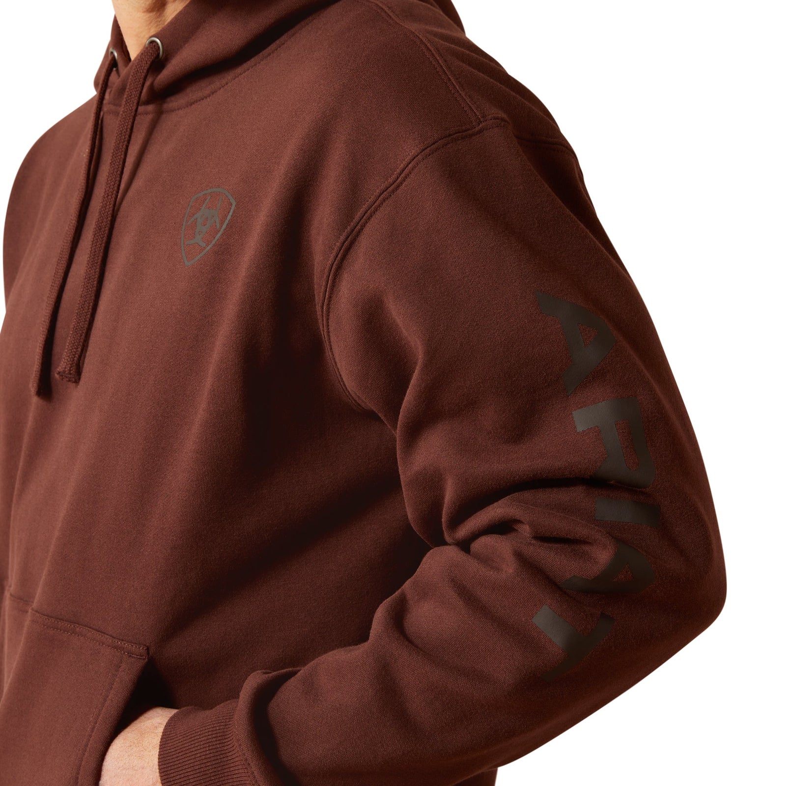 ARIAT MNS LOGO HOODIE