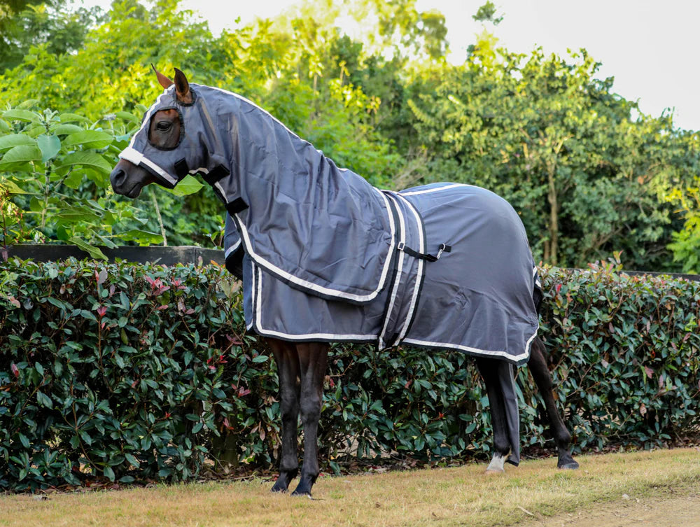 Gala Equine - Show Set with Surcingle