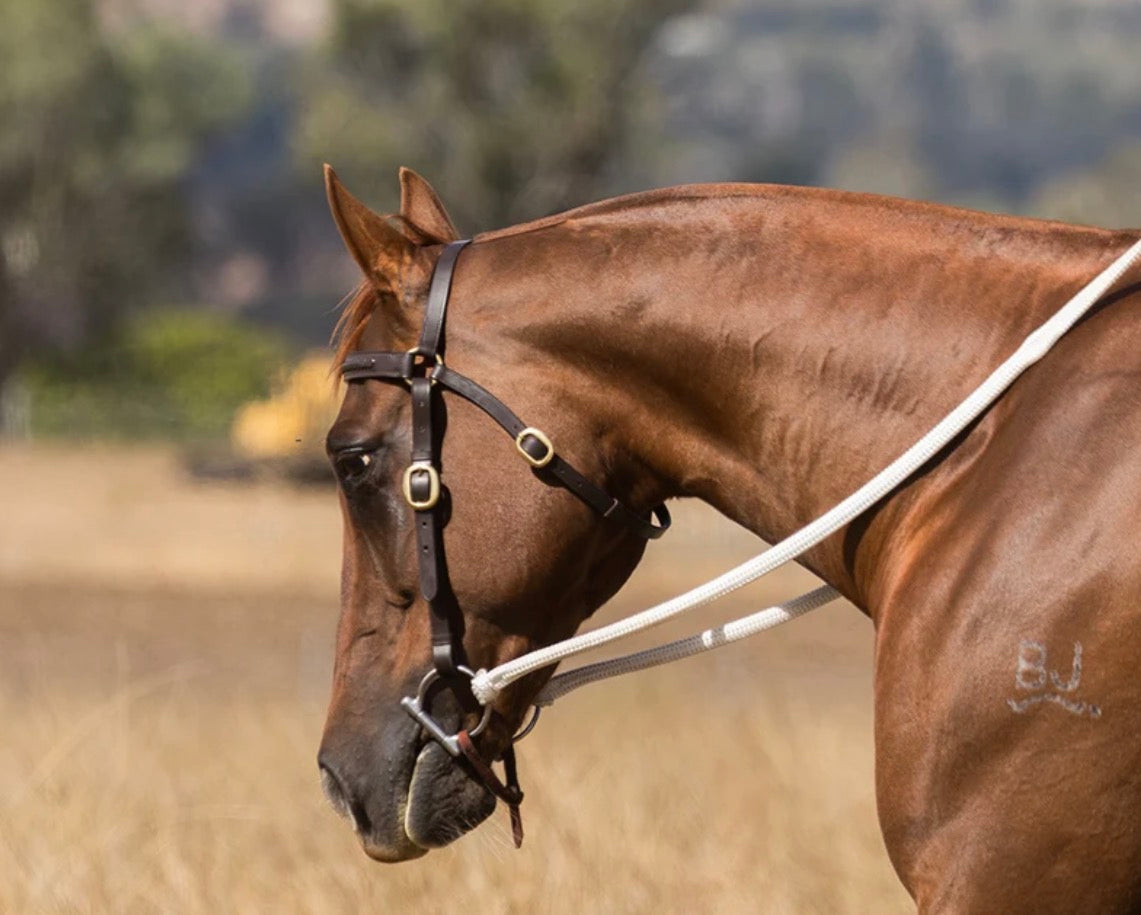 EUROHUNTER PLAITED BARCOO BRIDLE
