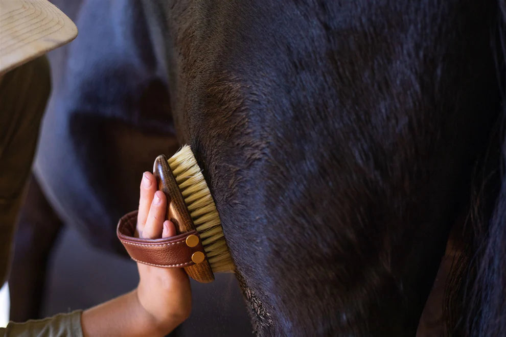 Hairy Pony - Mud Brush