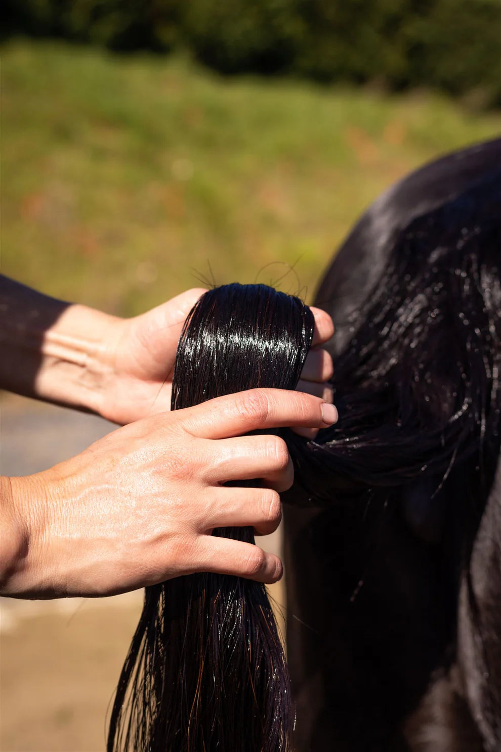 Hairy Pony - Hair Repair - Raspberry & Sweet Pomegranate