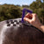 Hairy Pony - Quarter Mark Horse Comb