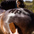 Hairy Pony - Quarter Mark Horse Brush