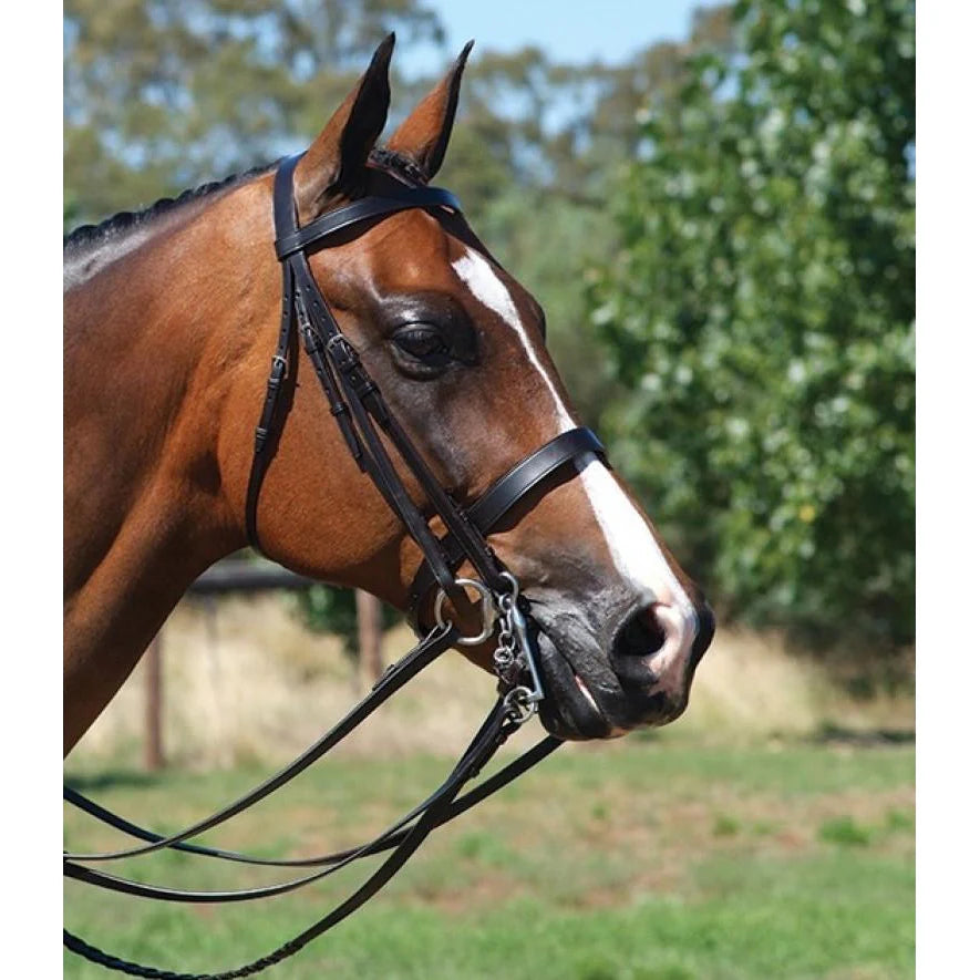 GRAINGE ELITE FLAT SHOW NOSEBAND