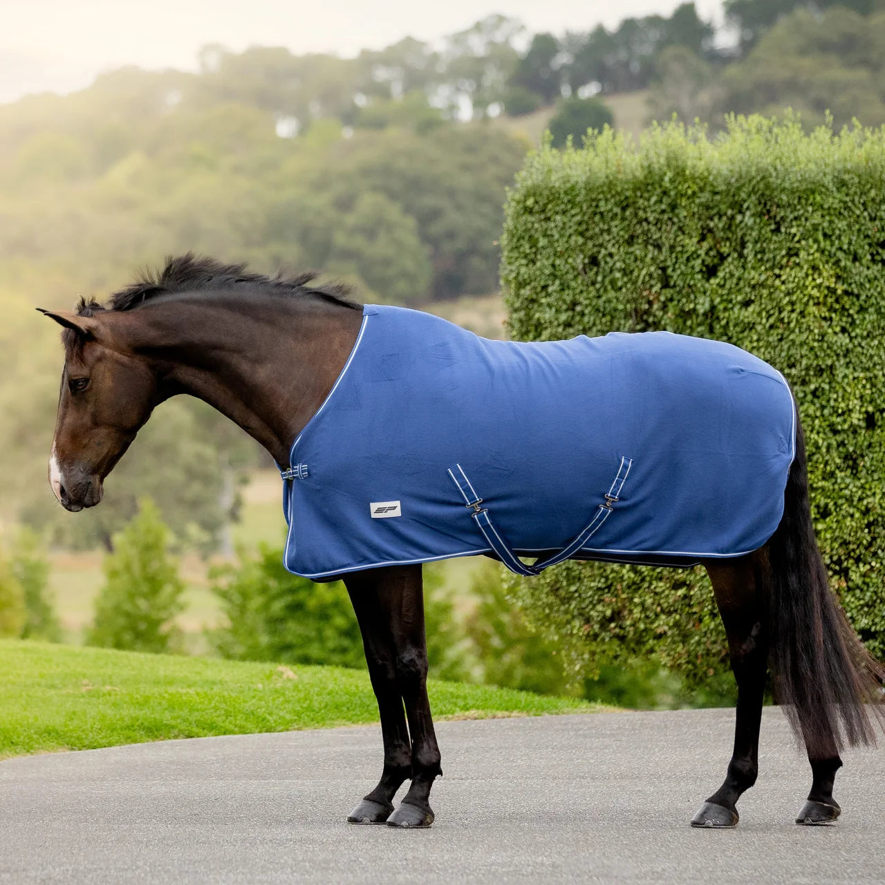 EP BLUE FLEECE RUG