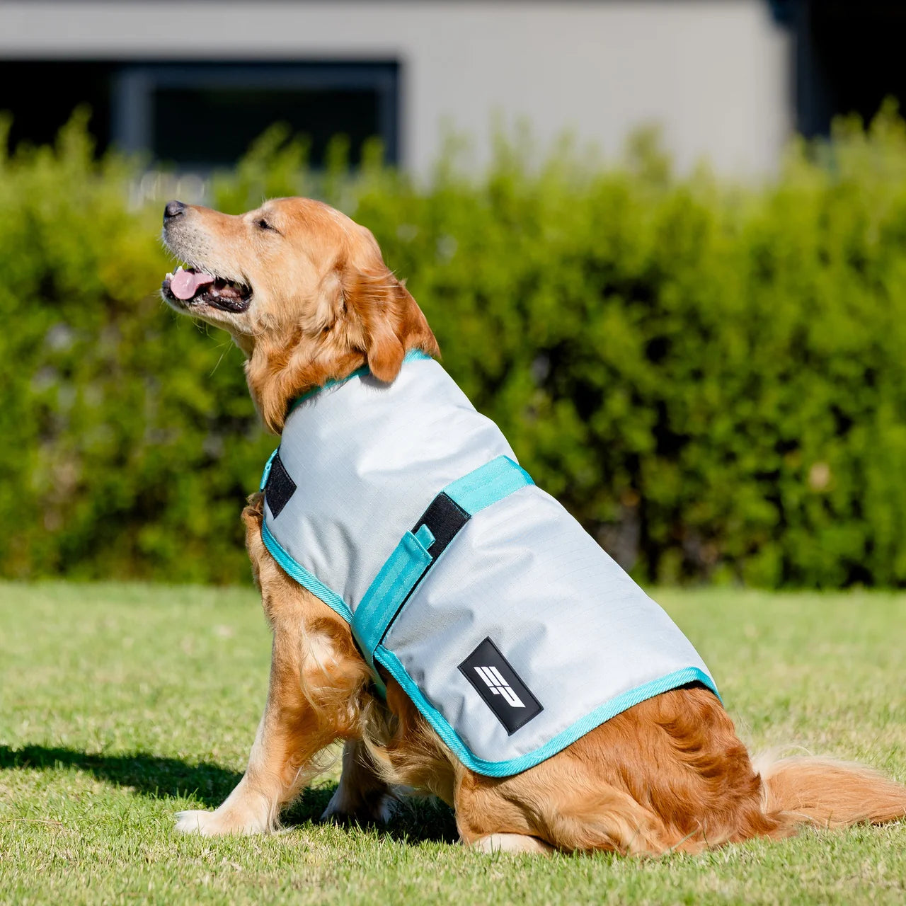 EquestPro 600D Dog Rug