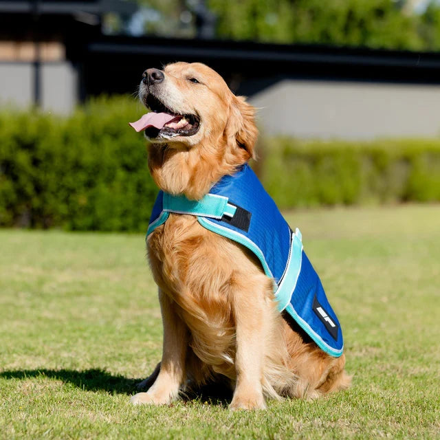 EquestPro 600D Dog Rug