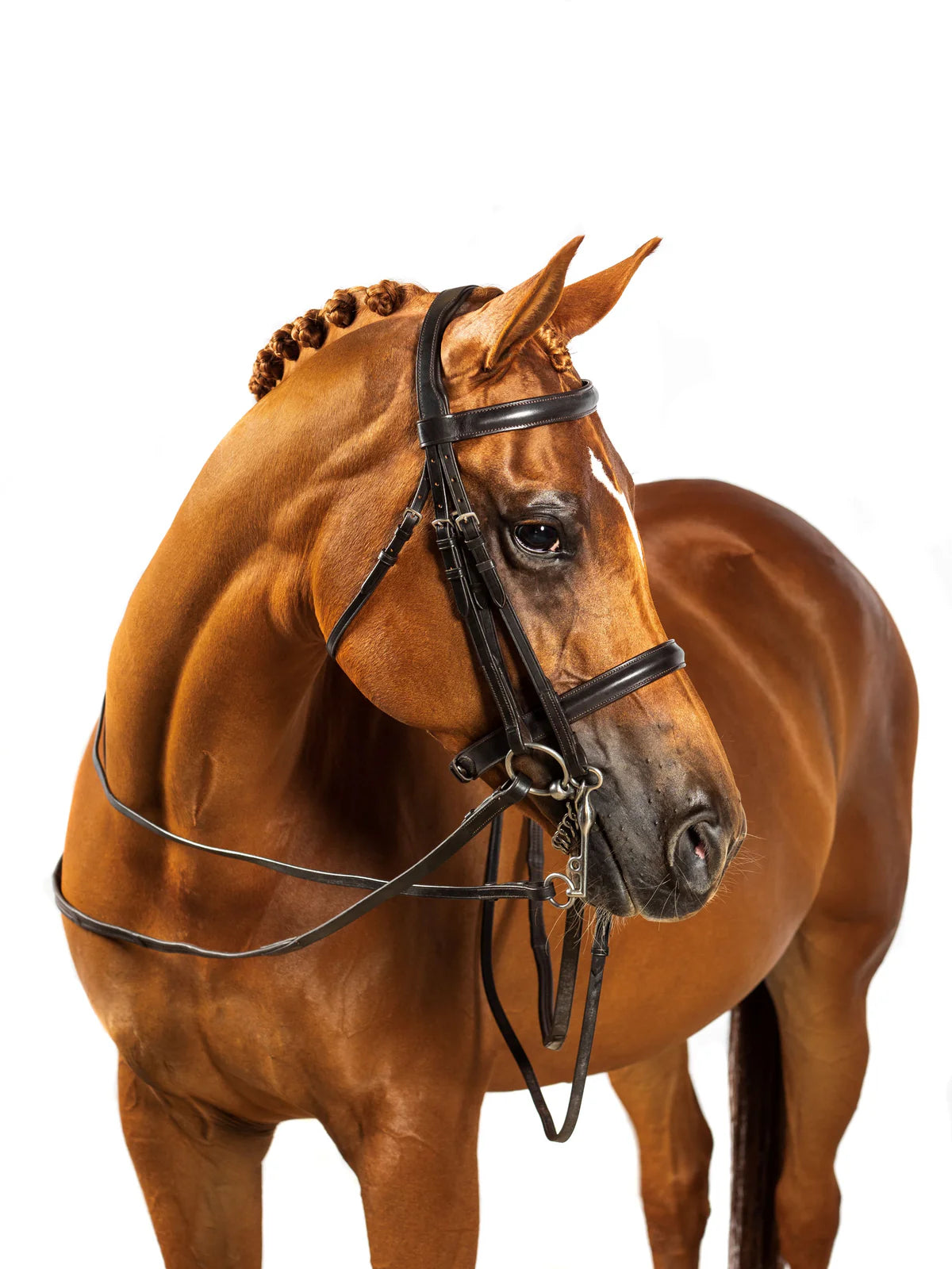 Flexible Fit - Premium Double Show Bridle 'Constitution'.