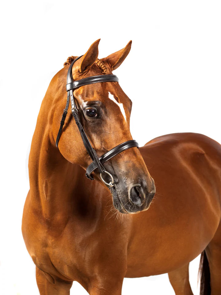 Premium Show Snaffle Bridle &#39;Ruby&#39;