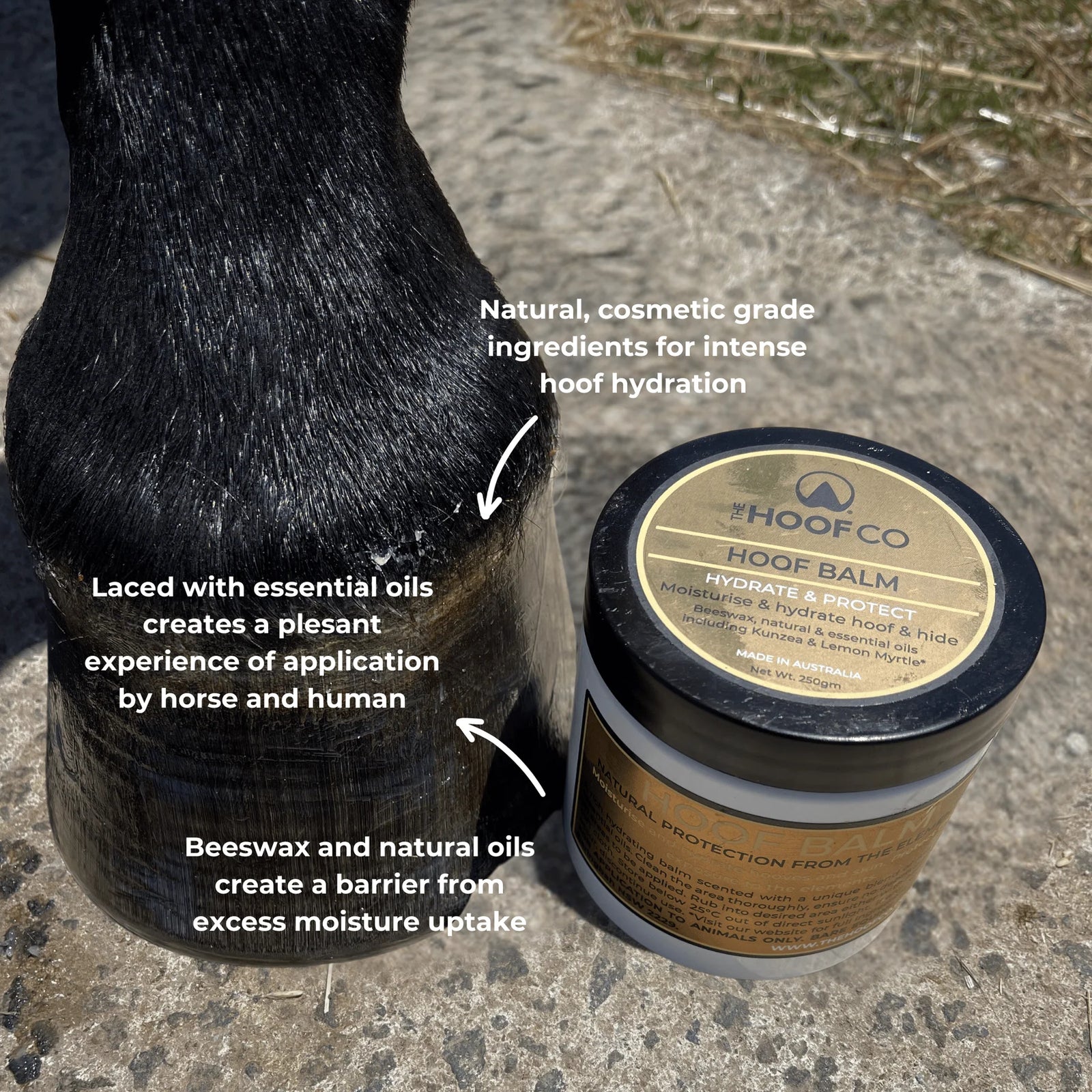 The Hoof Co - Hoof Balm