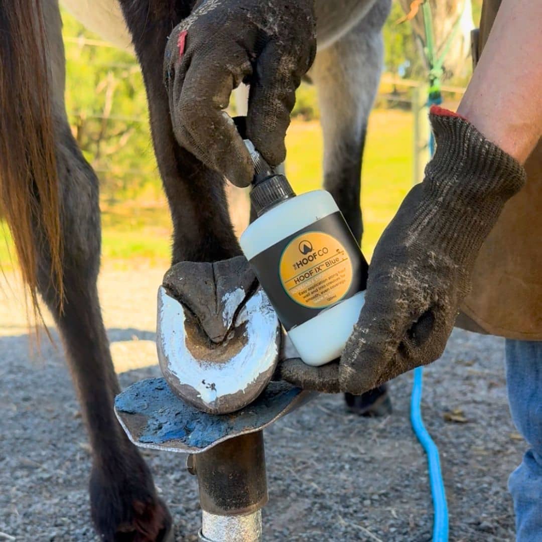 Hoof IX Squeezable Hoof Liquid.