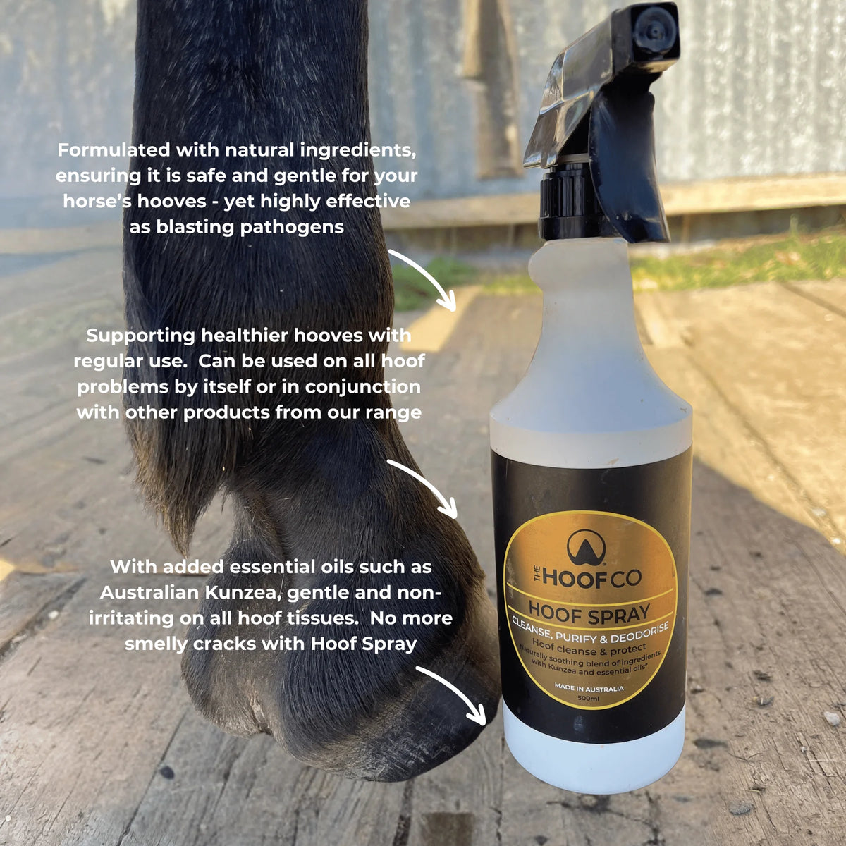 The Hoof Co - Hoof Spray