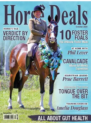 HORSE DEALS OCTOBER 2025