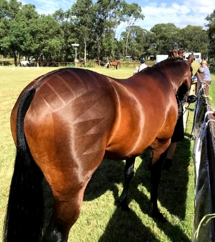 HSE Q-Set Quarter Mark Spray