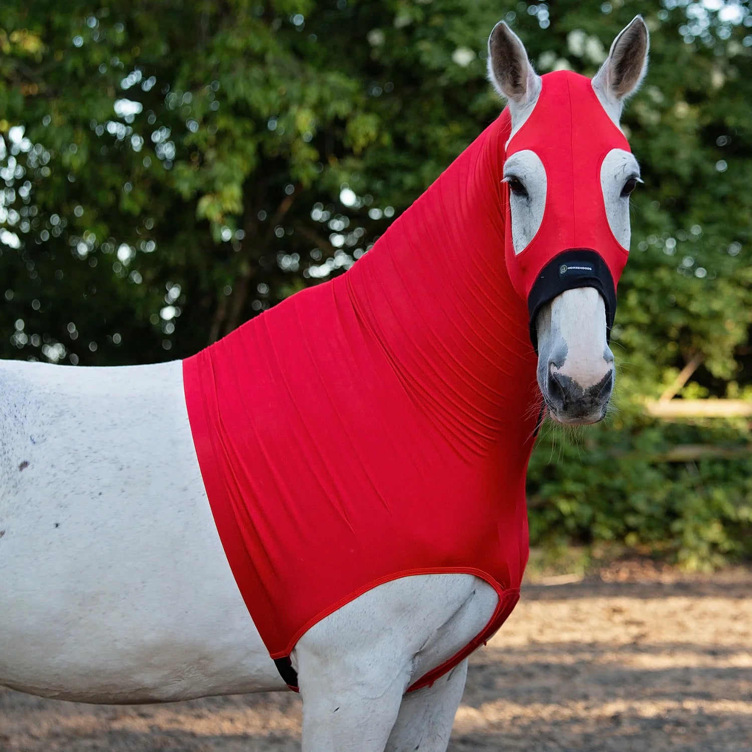 HorzeHood Skinny - No Ears.