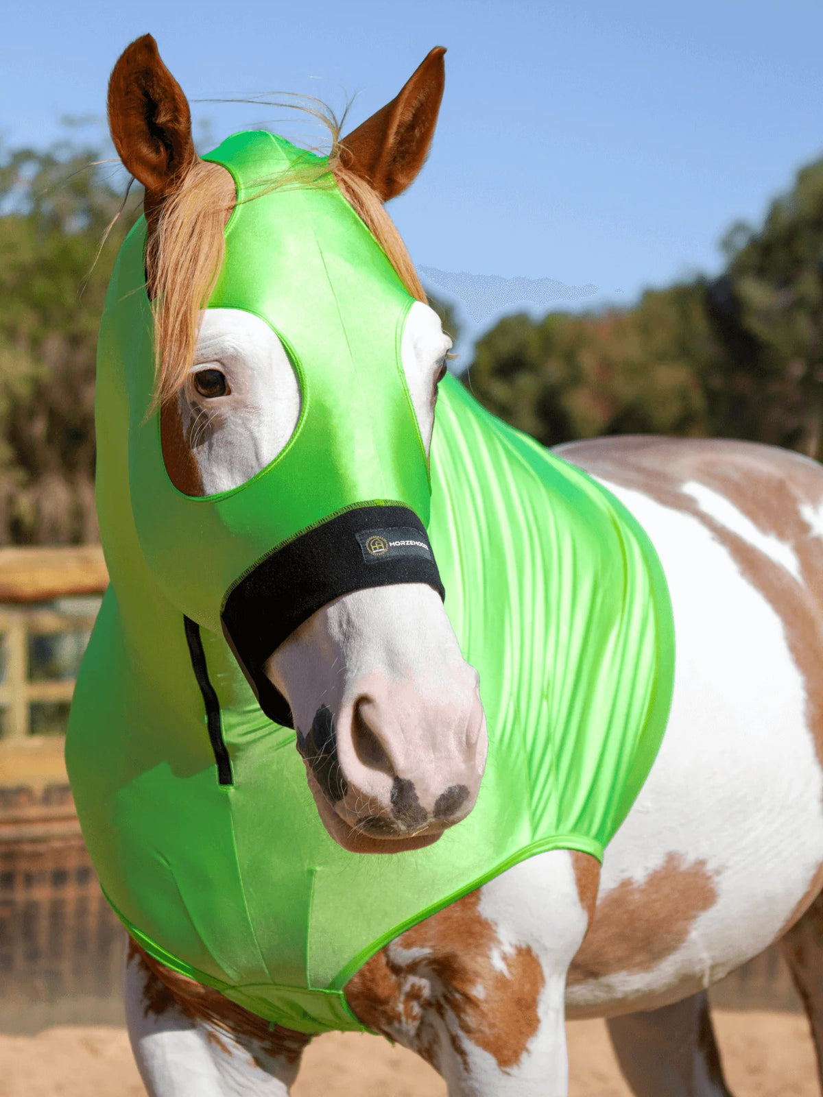 HorzeHood Skinny - No Ears.