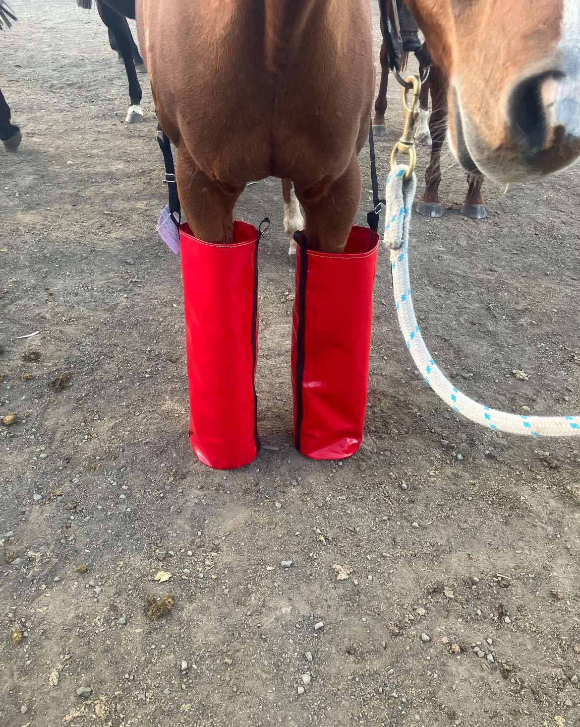 Full Length Ice Boots