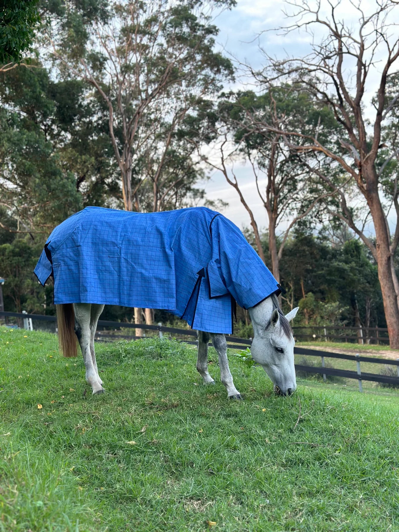 Eurohunter Gladiator Unlined Combo