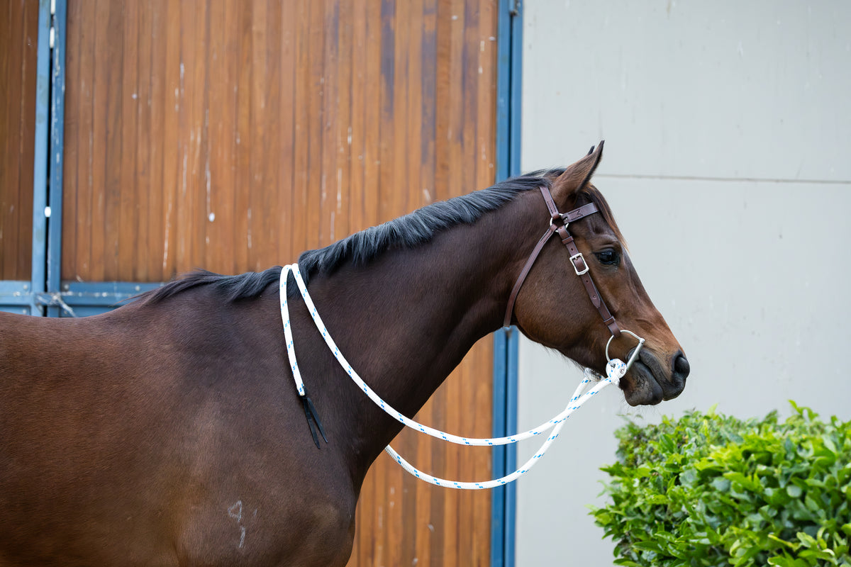 Rope Stock Reins