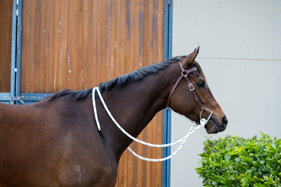 Leather Barcoo Bridle