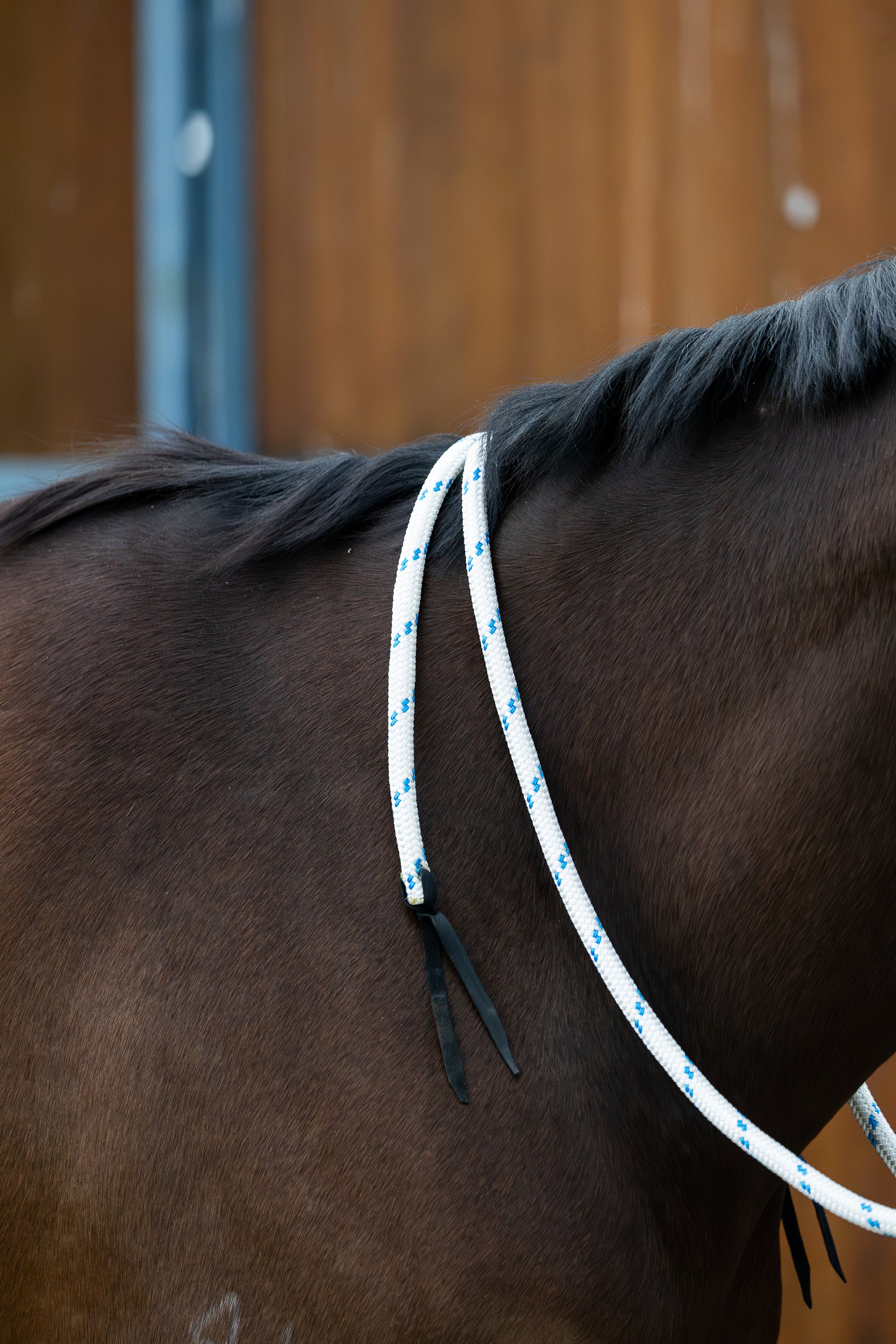 Rope Stock Reins