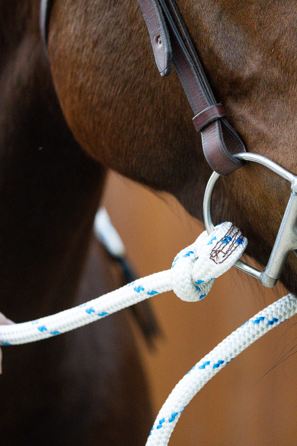 Leather Barcoo Bridle