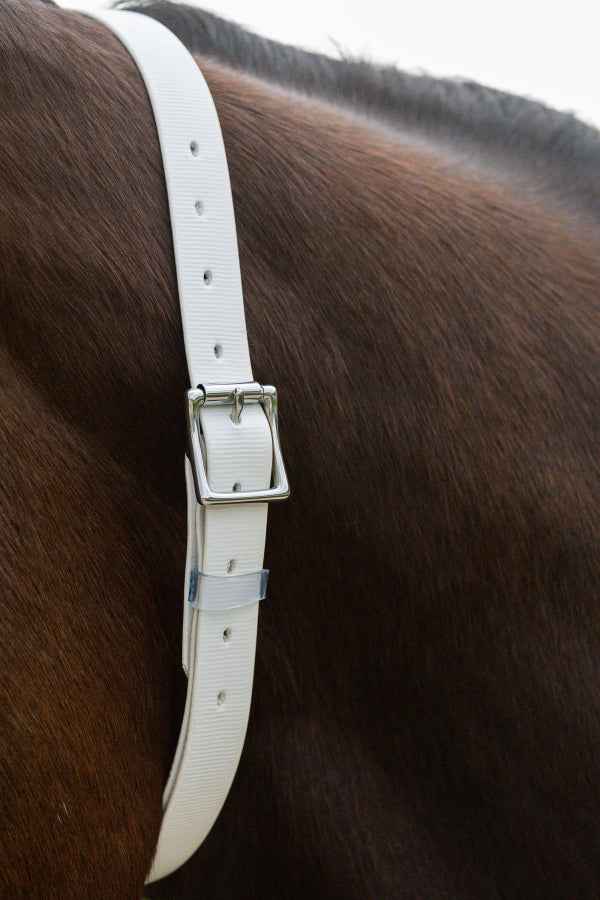 Mare Collars
