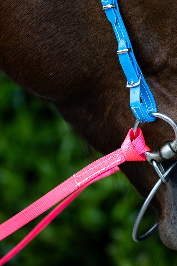 Webbing race reins