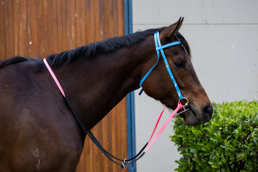 PVC race bridle